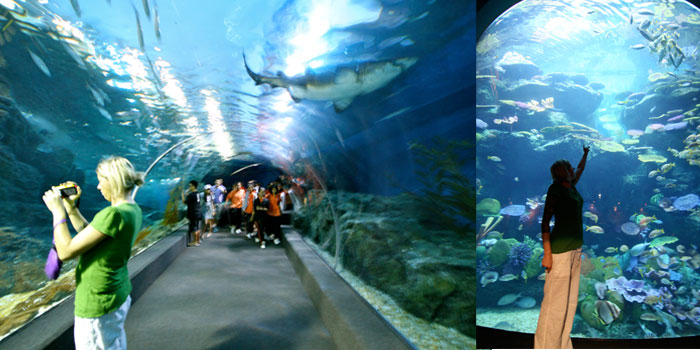 Siam Ocean World