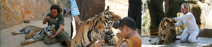 Tiger Temple